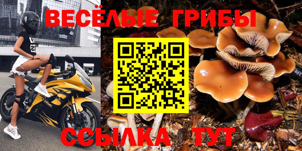Галлюциногенные грибы MAGIC MUSHROOMS Ачхой-Мартан